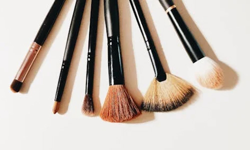Makeup brushes set