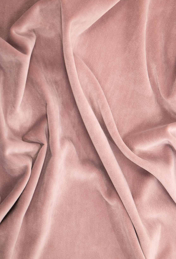 The Allure of Viscose and Its Dark Side of Deforestation