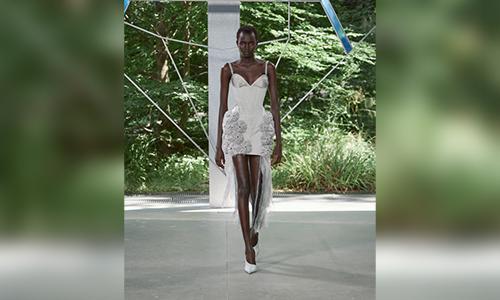 The-Sea-Urchin-as-Muse