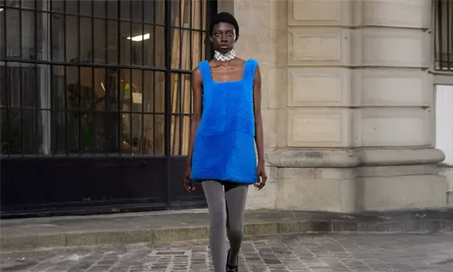 The Meryll Rogge Woman