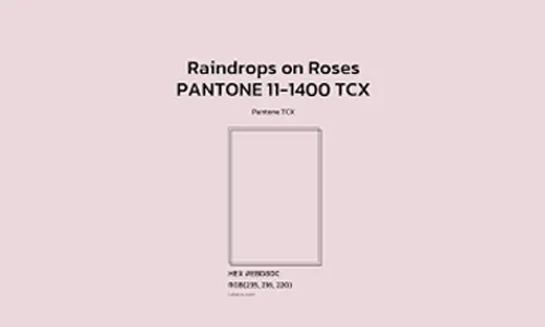 Raindrops on Roses