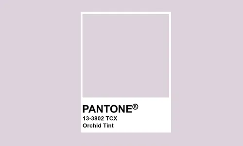 Orchid Tint