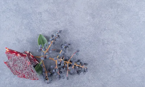 Blurred Pastels Softness for a Rebuilding Era