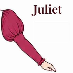 Juliet Sleeve