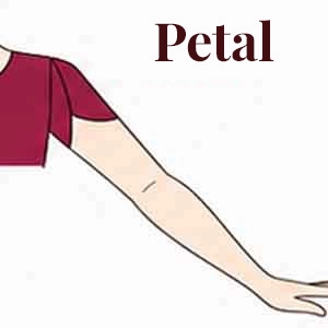 Petal Sleeve