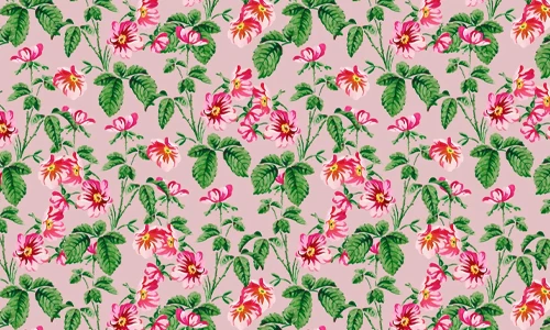 Cotton calico fabric with a traditional floral print